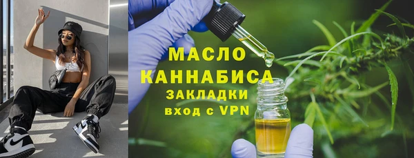 spice Богородск