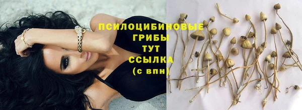 spice Богородск