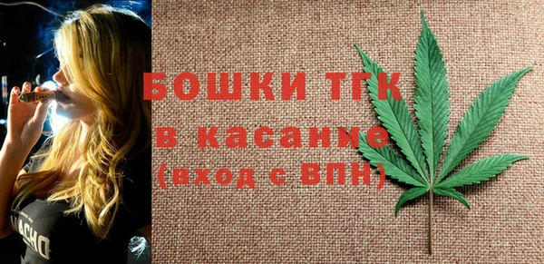 spice Богородск