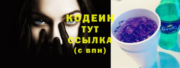 гашик Богданович