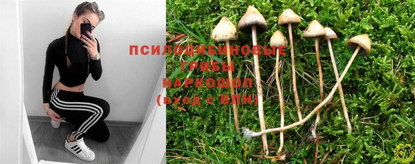 бошки Беломорск