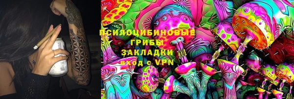spice Богородск