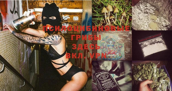 apvp Белокуриха