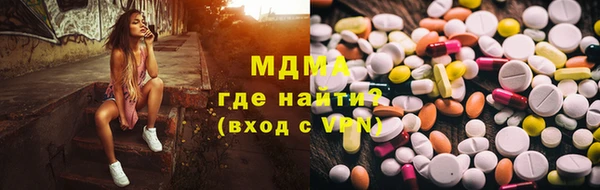 гашик Богданович