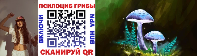Галлюциногенные грибы ЛСД где купить нарко площадка как зайти Высоковск